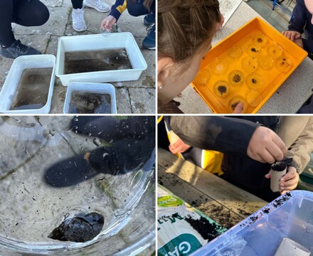 9787e253 0307 4a72 8b80 8ba60ae260f7